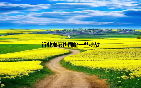 行业发展也面临一些挑战