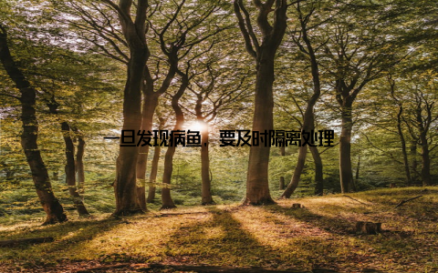 一旦发现病鱼, 要及时隔离处理