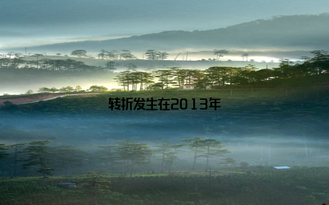 转折发生在2013年