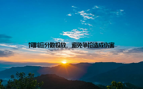饲料应分散投放, 避免争抢造成伤害