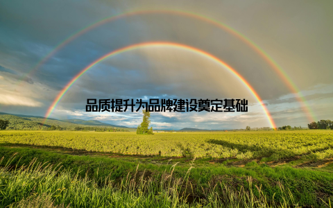 品质提升为品牌建设奠定基础
