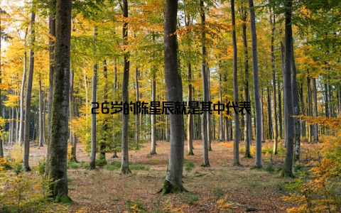 26岁的陈星辰就是其中代表