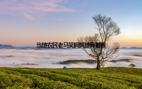 当地农民老马笑呵呵地算着账
