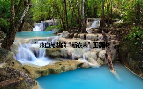 ”来自芜湖的“新农人”王磊说