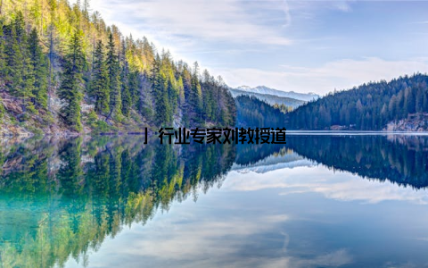 」行业专家刘教授道