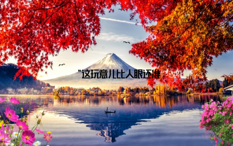 “这玩意儿比人眼还准