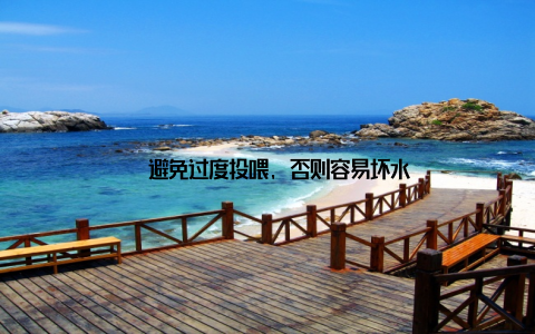 – 避免过度投喂, 否则容易坏水