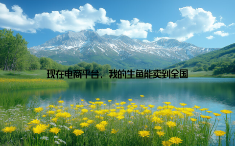 现在电商平台, 我的生鱼能卖到全国