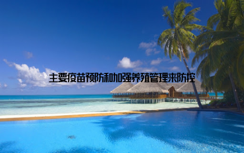 主要疫苗预防和加强养殖管理来防控