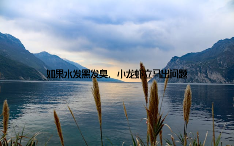如果水发黑发臭, 小龙虾立马出问题
