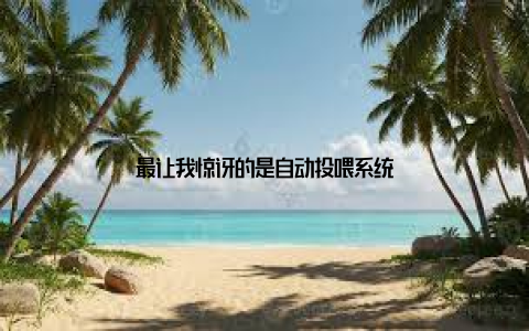 最让我惊讶的是自动投喂系统
