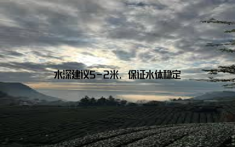 水深建议5-2米, 保证水体稳定
