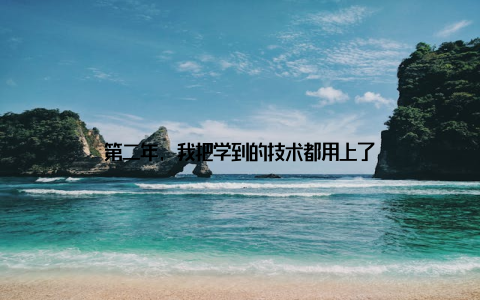 第二年, 我把学到的技术都用上了