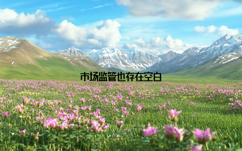 市场监管也存在空白
