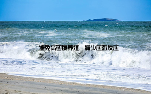 – 避免高密度养殖, 减少应激反应