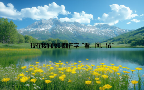 现在我的原则就仨字“看、问、试”