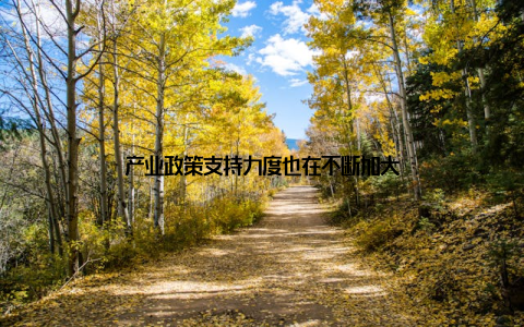 产业政策支持力度也在不断加大