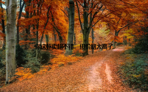 你这虾卖相不错, 但价格太高了