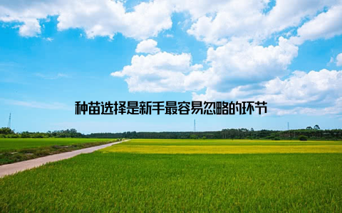 种苗选择是新手最容易忽略的环节