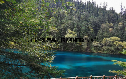 水质监测是高科技养虾的核心环节