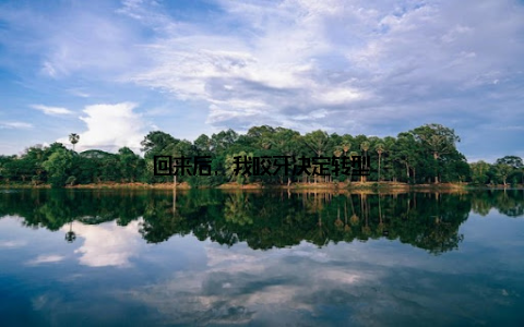回来后, 我咬牙决定转型