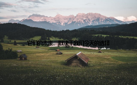 它们的未来, 取决于我们今天的选择