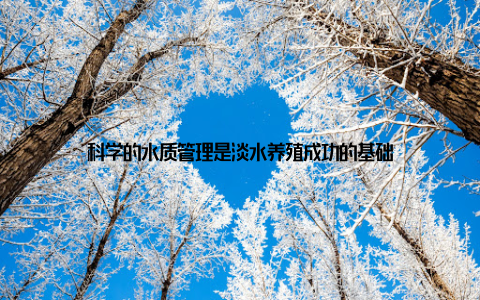 科学的水质管理是淡水养殖成功的基础