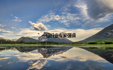 ”一位行业专家强调