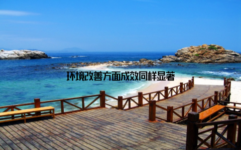 环境改善方面成效同样显著
