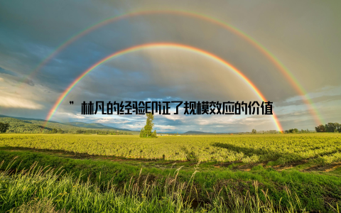 ”林凡的经验印证了规模效应的价值