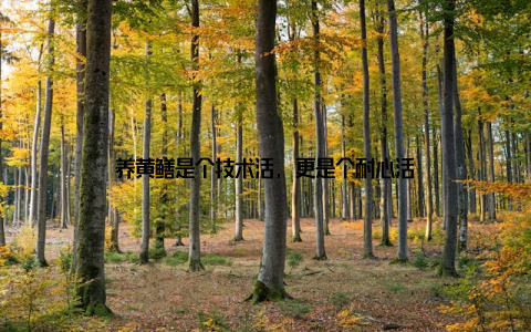 养黄鳝是个技术活, 更是个耐心活