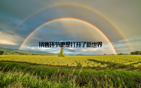 销售环节更是打开了新世界