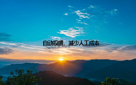 – 自动投喂, 减少人工成本