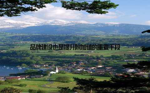 品牌建设也是提升附加值的重要手段