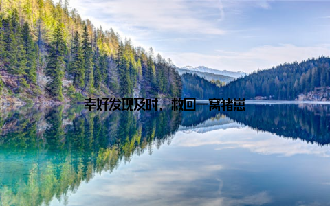 幸好发现及时, 救回一窝猪崽