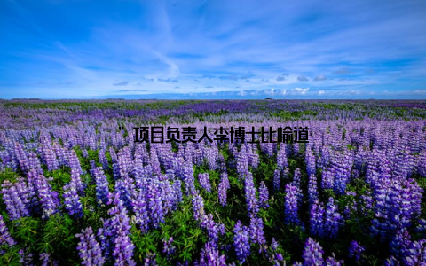 ”项目负责人李博士比喻道