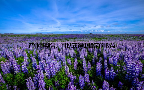 产业链整合, 可以获得更稳定的收益