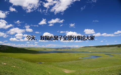 今天, 我掏心窝子全部分享给大家