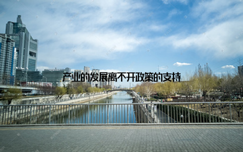 产业的发展离不开政策的支持