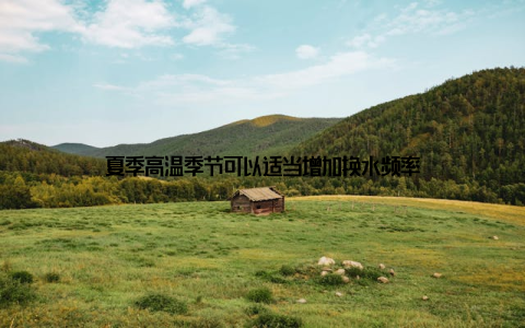 夏季高温季节可以适当增加换水频率
