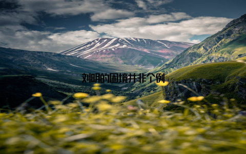刘明的困境并非个例
