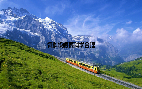 饲料投喂要科学合理