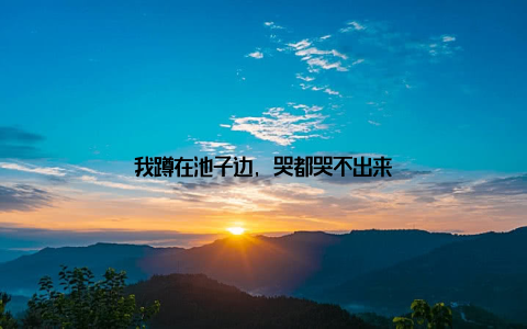 我蹲在池子边, 哭都哭不出来