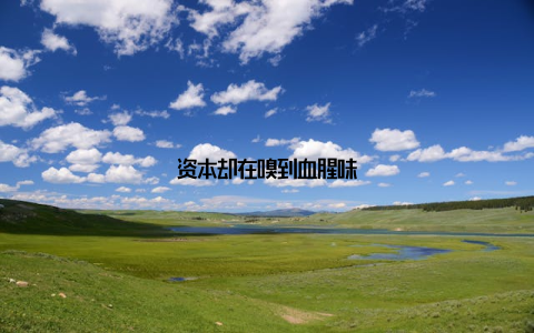 资本却在嗅到血腥味