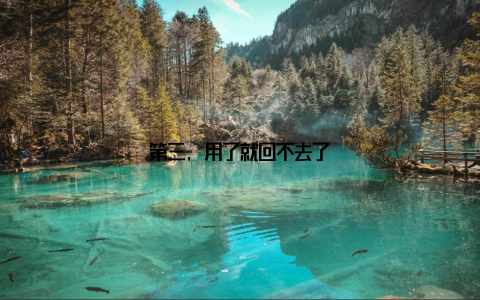 第三, 用了就回不去了