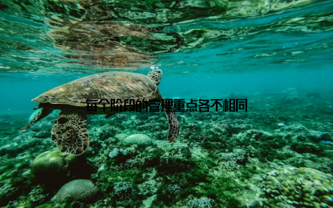 每个阶段的管理重点各不相同