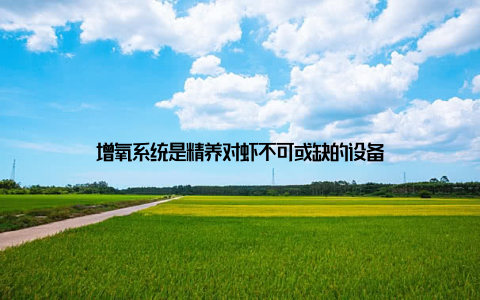 增氧系统是精养对虾不可或缺的设备