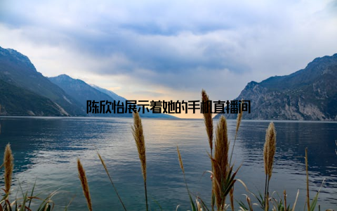 陈欣怡展示着她的手机直播间