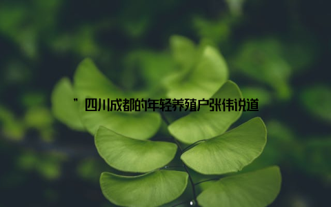 ”四川成都的年轻养殖户张伟说道