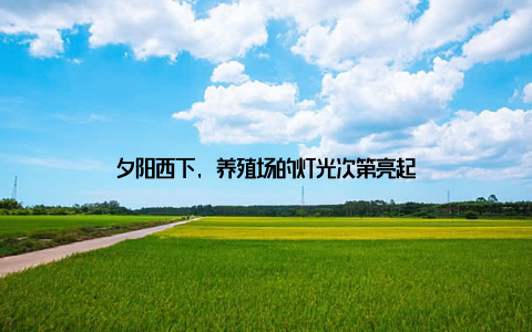 夕阳西下, 养殖场的灯光次第亮起